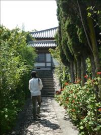 松林寺2 松林寺2