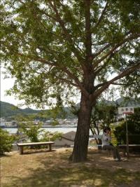 本覚寺8 本覚寺8