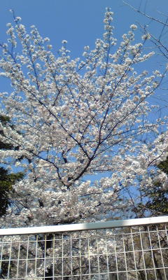 名村造船所跡地 Cco Staff Blog 大正区への渡船場 ついでにikeaに行ってキマシタ 名村造船所跡地 Cco Staff Blog 大正区への渡船場 ついでにikeaに行ってキマシタ