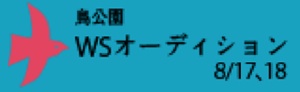 【芸創セレクション】鳥公園ワークショップ・オーディション 【芸創セレクション】鳥公園ワークショップ・オーディション